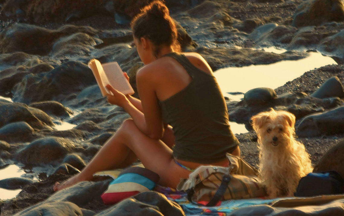 Woman reading at the beach and a dog
Wikimedia Commons
https://www.flickr.com/photos/31195974@N05/4666840431/